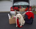 Packing car with Christmas gifts, suitcases ready to get away for the holidays. Royalty Free Stock Photo