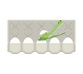 Packing eggs hatched crocodile isolated. Vector illustration Royalty Free Stock Photo