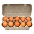 Packing eggs isolated Royalty Free Stock Photo