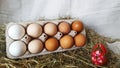 Packing eggs with one red egg. Eggs for Easter. Painted eggs. Red egg against white eggs Royalty Free Stock Photo