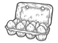 Packing eight eggs. Sketch scratch board imitation. Black and white.