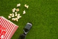 Packing with popcorn on a green lawn with 3D glasses for watching a movie. Grass Watching films about nature. In parks. Recreation