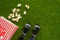 Packing with popcorn on a green lawn with 3D glasses for watching a movie. Grass Watching films about nature. In parks. Recreation