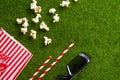Packing with popcorn straws for soda on a green lawn with 3D glasses for watching a movie. Grass Watching films about nature. In