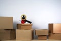 Packing tape dispenser and cardboard boxes and on white background Royalty Free Stock Photo