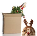 Packing up christmas Royalty Free Stock Photo