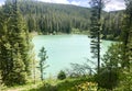Packsaddle lake Royalty Free Stock Photo