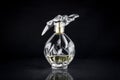 Packshot perfume bottle in studio Royalty Free Stock Photo