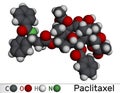 Paclitaxel, PTX molecule. It is taxoid chemotherapeutic agent used for treatment of carcinoma of the ovary, breast and lung cancer