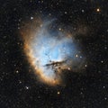 Pacman Nebula in narrow band