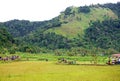 The Pacu Jawi bull racing event in West Sumatra, Indonesia.