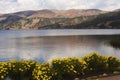 pacucha lake coast and flower in abancay,