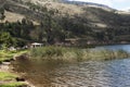 pacucha lake reed plantation wonderful summer day without people in andahuaylas peru