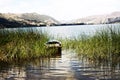 pacucha lake and wooden boat anchored in reed plantation splendid on a summer day in andahuaylas peru Royalty Free Stock Photo