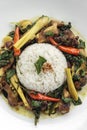 .Pad Krapow Gai spicy Thai Chicken Vegetable Stir Fry on white plate Royalty Free Stock Photo