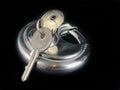 Pad Locks and Keys Royalty Free Stock Photo