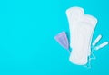 Pad, menstrual cup, tampon on a blue background. The view is flat Royalty Free Stock Photo