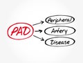 PAD - Peripheral Artery Disease acronym, health concept background