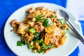 Pad See Ew stir fried noodle with black soy sauce Royalty Free Stock Photo