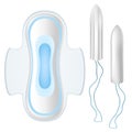 Pad and tampon set Royalty Free Stock Photo