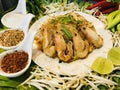 Pad Thai Goong Sod Fried Rice Sticks with Shrimp Royalty Free Stock Photo