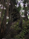 Padangtegal Mandala Wisata Wanara Wana Sacred Monkey Forest Sanctuary in Ubud, Bali, Indonesia.