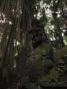 Padangtegal Mandala Wisata Wanara Wana Sacred Monkey Forest Sanctuary in Ubud, Bali, Indonesia.