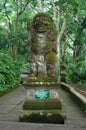 Padangtegal Monkey Forest, famous touristic place in Ubud, Bali Indonesia Royalty Free Stock Photo