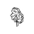 padauk tree jungle amazon isometric icon vector illustration Royalty Free Stock Photo