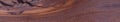 Padauk wood grain Royalty Free Stock Photo