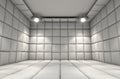 Padded Cell Royalty Free Stock Photo