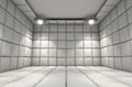 Padded Cell Royalty Free Stock Photo