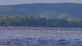 Paddeling with canoe on the Volga river