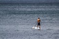 Paddle barding in the pacific