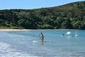 Paddle board - sea sport