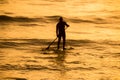 Paddle boarder in orange sunset Royalty Free Stock Photo