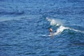 Standup paddle boarder surfing off Heisler Park, Laguna Beach, California.