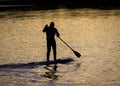 Paddle Boarders.