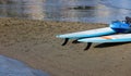 paddle boards, on the beach on the sand, at sunset