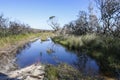 Paddle. Booderee National Park. NSW. Australia. Royalty Free Stock Photo