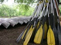 Paddle Pile Royalty Free Stock Photo