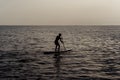 Paddle standing, silhouette of man on the beach at sunset. SUP surfing. Royalty Free Stock Photo