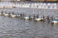 Paddle wheel aerator Royalty Free Stock Photo