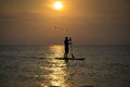 Paddleboard Beach Royalty Free Stock Photo