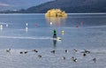 Paddleboarder, buoys, Canada Geese, Windermere