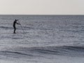 Paddleboarder, Camber, Kent