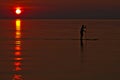 Paddleboarder / Paddle Boarding at Sunset