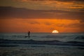 Paddleboarder in sunset Royalty Free Stock Photo