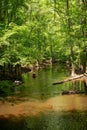 Paddlers on Cedar Creek Running through Congaree National Park Royalty Free Stock Photo