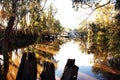 Paddlesteamers in Echuca Moama Royalty Free Stock Photo